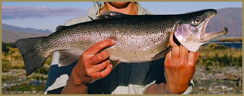 Bird hunting and fishing