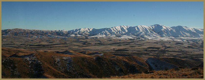 NZ Trophy Hunting location