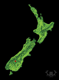 NZ map