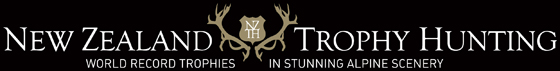 home banner