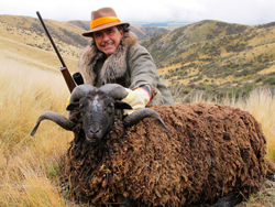 arapawa ram