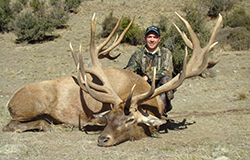 wapiti 1